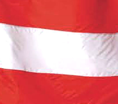 fuedi-logo
